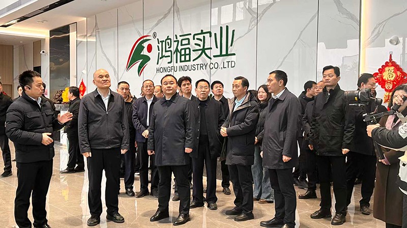 感受發展“加速度”，衡陽市領導深入衡山縣重大項目91短视频污下载實業現場